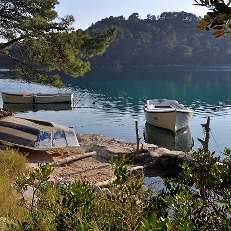 Authentic Ap For 2, Babino Polje,Mljet Apartman Kültér fotó