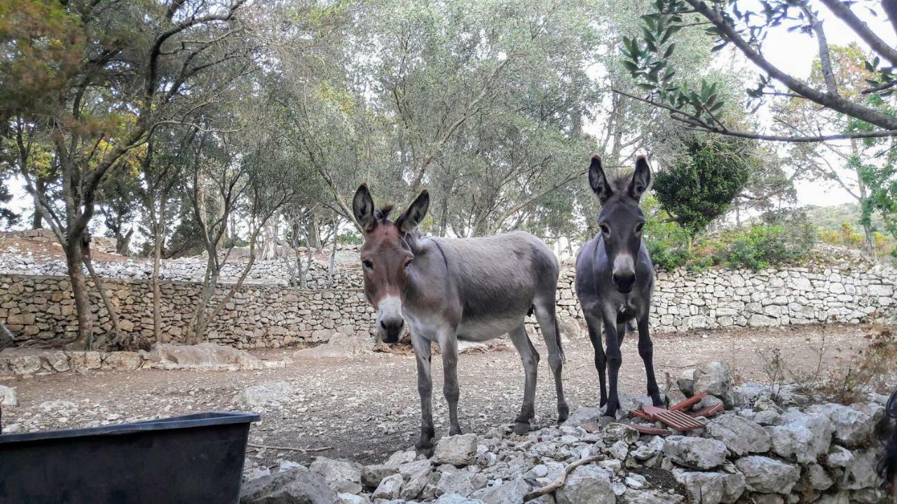 Authentic Ap For 2, Babino Polje,Mljet Apartman Kültér fotó