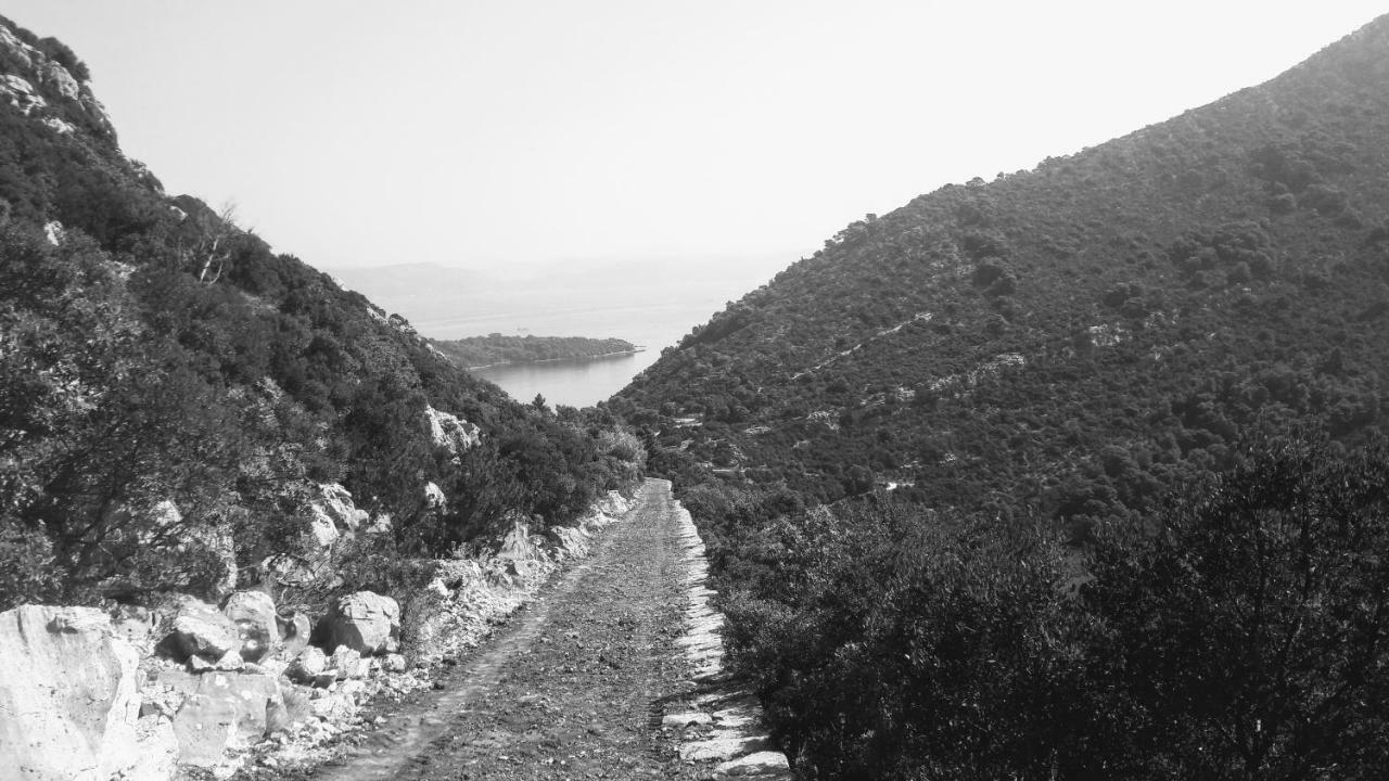 Authentic Ap For 2, Babino Polje,Mljet Apartman Kültér fotó
