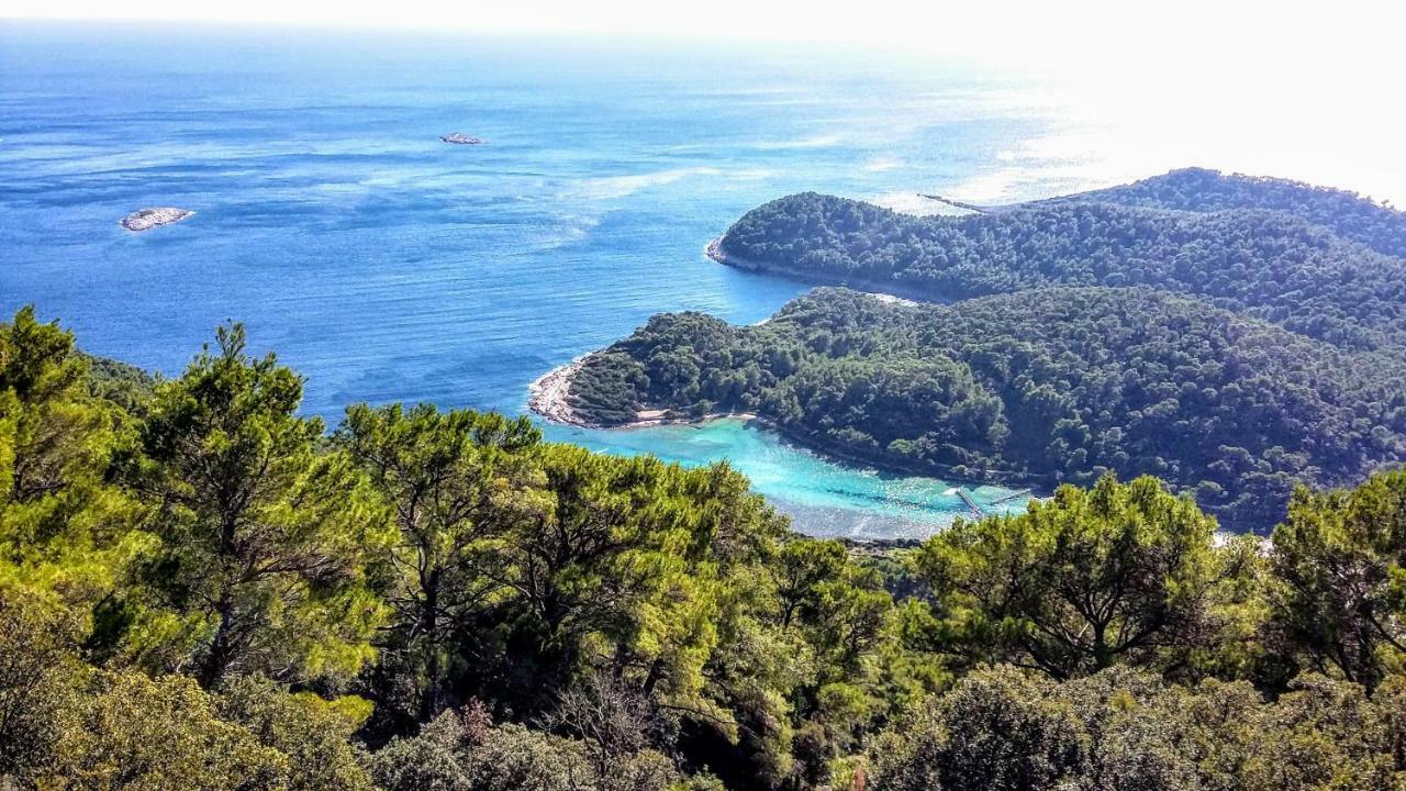 Authentic Ap For 2, Babino Polje,Mljet Apartman Kültér fotó