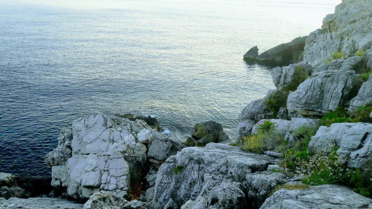 Authentic Ap For 2, Babino Polje,Mljet Apartman Kültér fotó