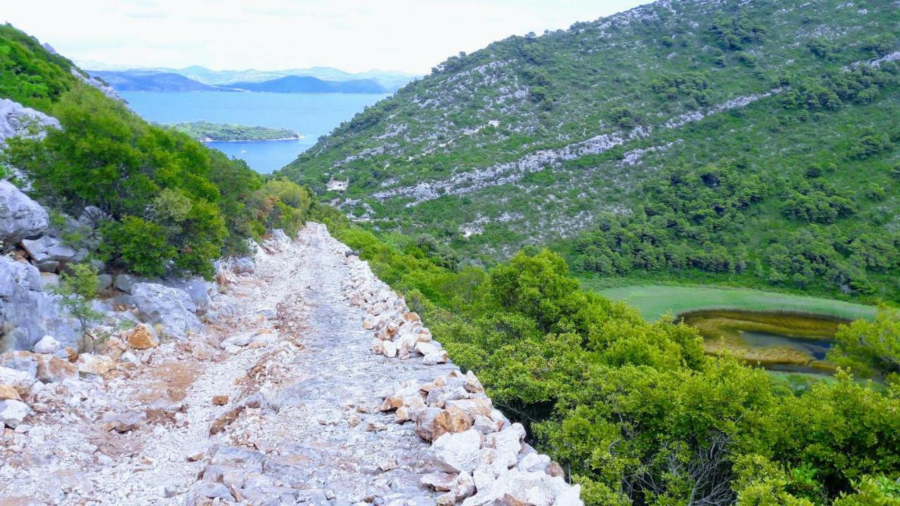 Authentic Ap For 2, Babino Polje,Mljet Apartman Kültér fotó